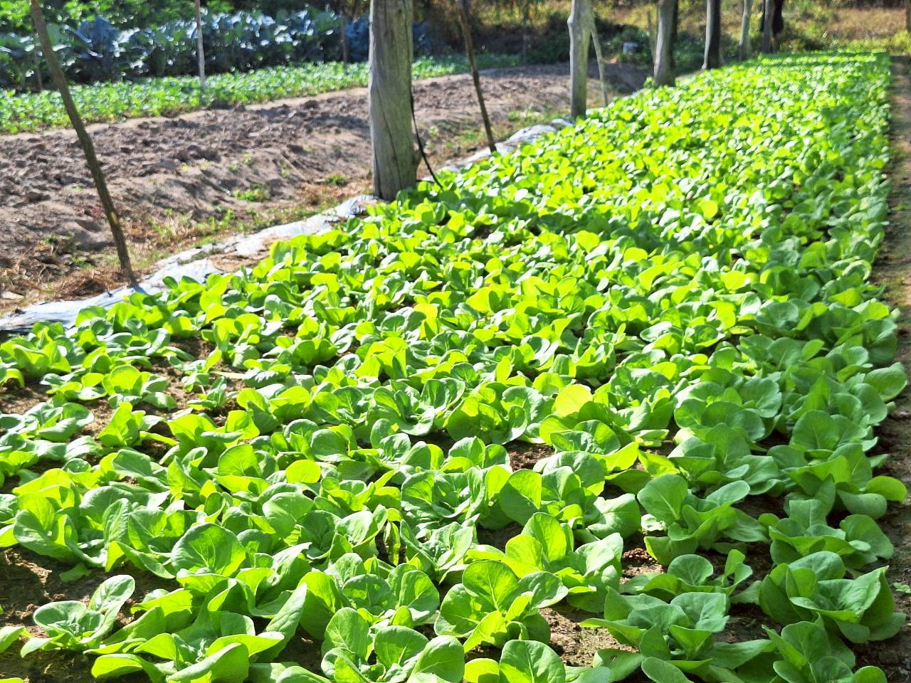 title - ผู้ตรวจราชการ ส.ป.ก. ประชุมตรวจราชการและติดตามความก้าวหน้าผลการดำเนินงานตามแผนการตรวจราชการของผู้ตรวจราชการสำนักงานการปฏิรูปที่ดินเพื่อเกษตรกรรม ประจำปีงบประมาณ พ.ศ. 2569 รอบที่ 1 เขตตรวจราชการที่ 11 จังหวัดนครพนม